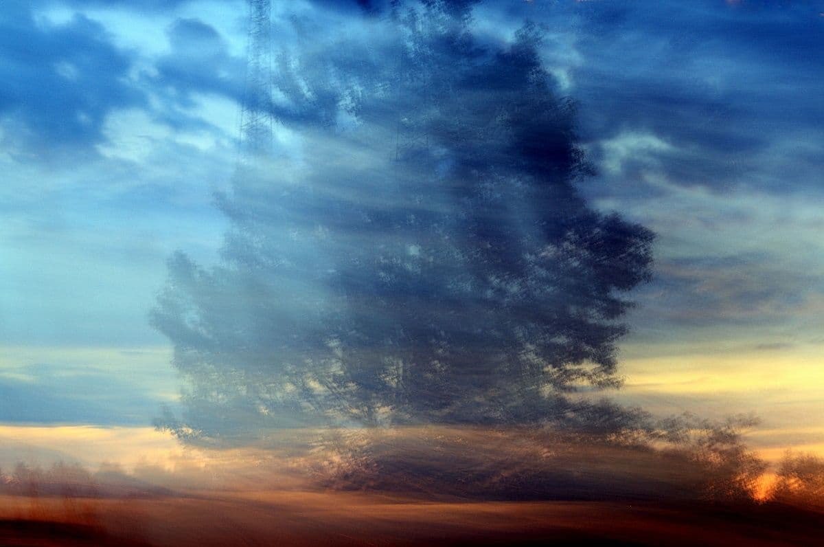 Capturer le vent - Portrait artwork 1