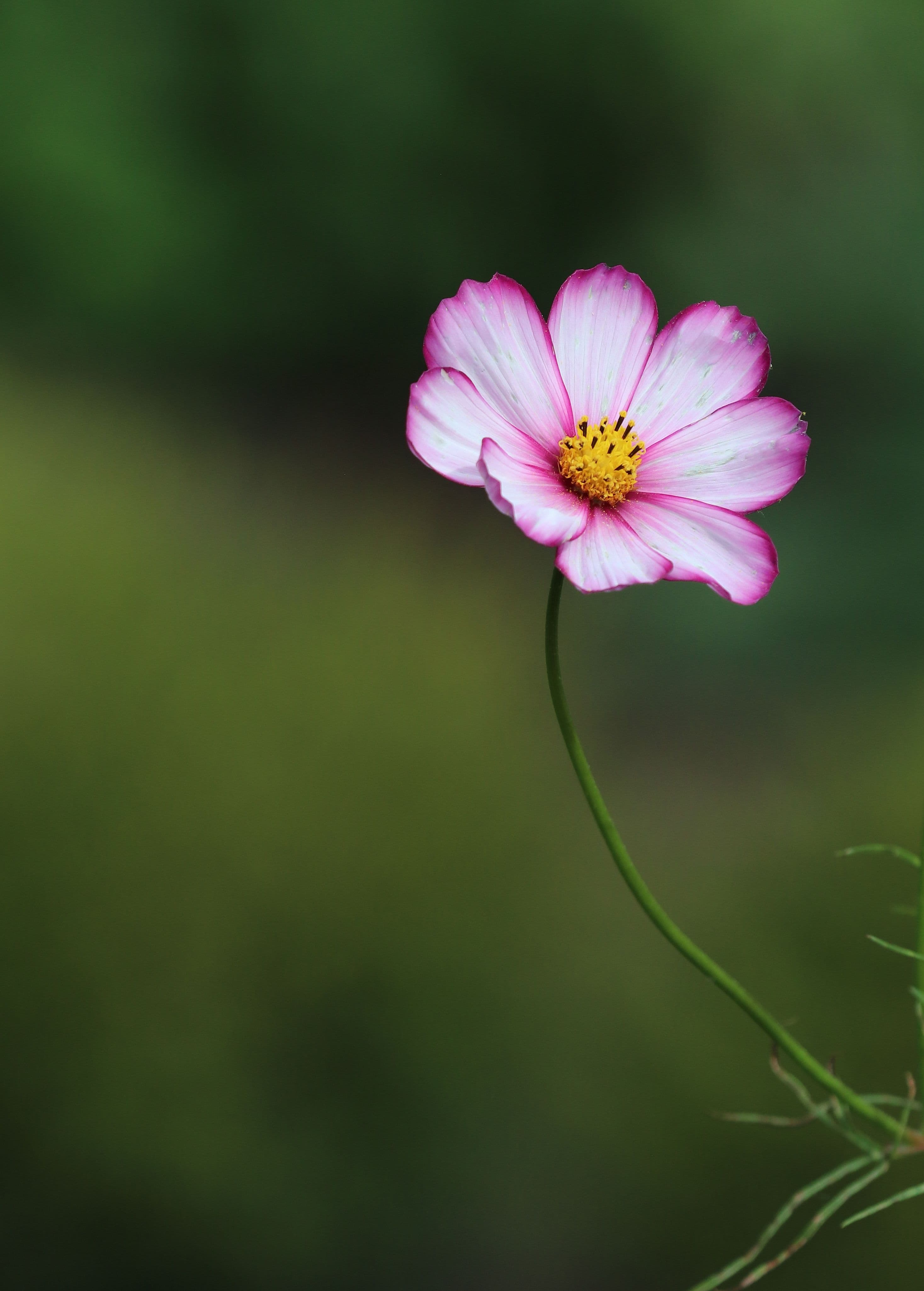 Parfaitement imparfaite - Landscape artwork 4